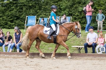 Bild 169 - Pony Akademie Turnier